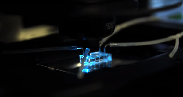 Photo of chip functioning