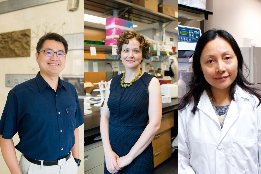 Texas Engineers Tim Yeh, Jeanne Stachowiak and Jenny Jiang