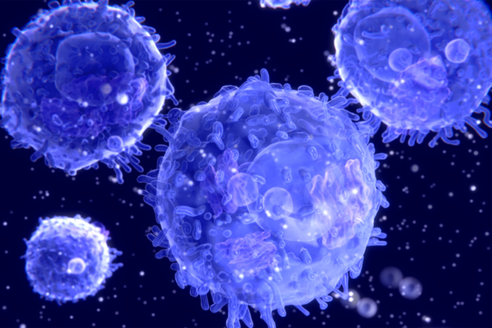 Microscopic view of cells