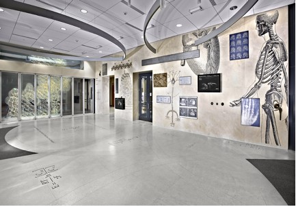 The BME 3.202 lobby with paintings of skeletons and anatomical structures on the walls