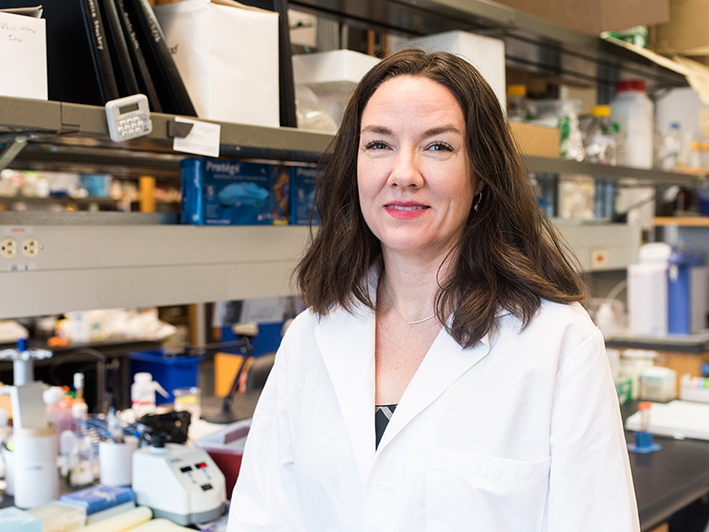 Texas biomedical engineer Laura Suggs