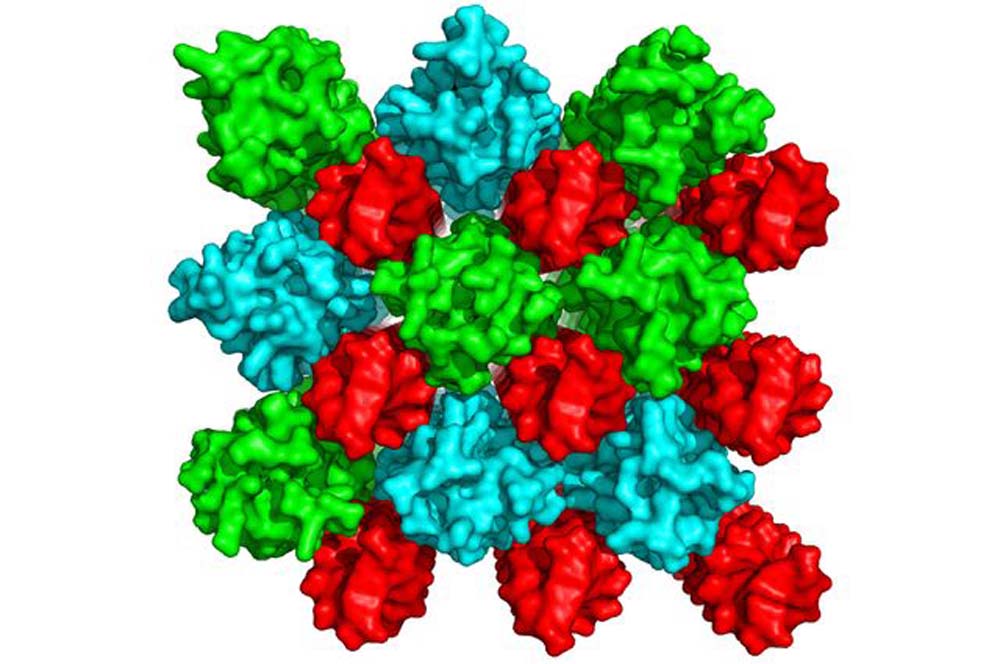 LL37 molecules self-assemble into scaffolds