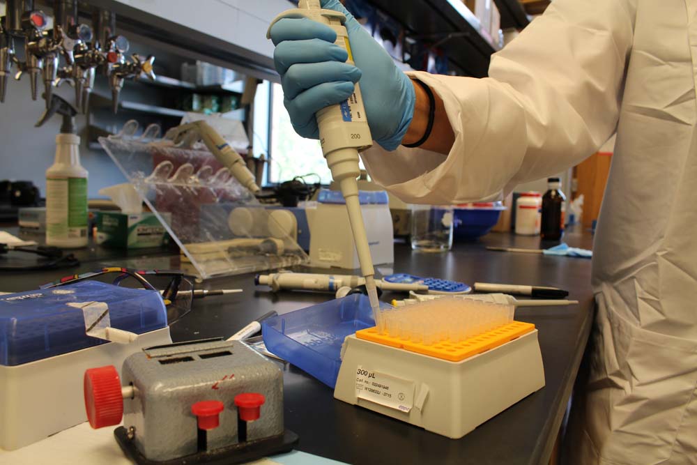 BME student using dropper to add fluid to test tubes in lab