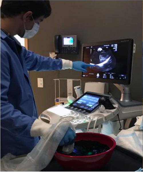 doctor pointing at monitor in lab