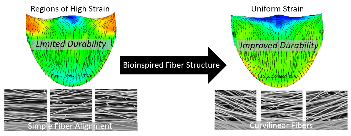A model of electrospun fibers