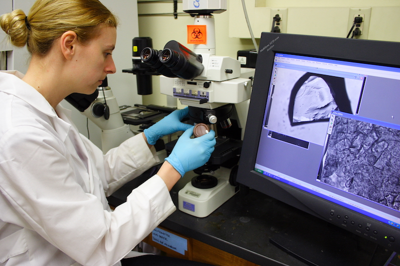 student works at BME lab