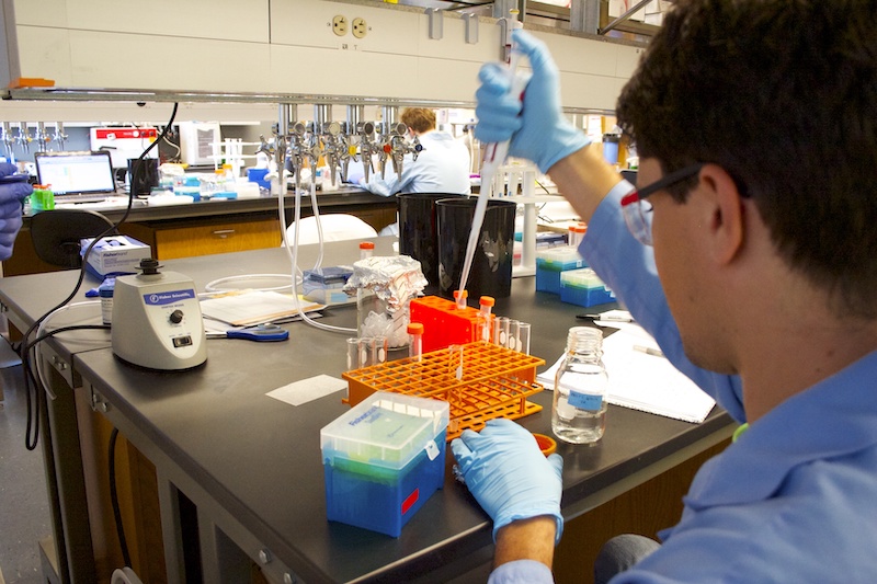 bme student filling test tubes