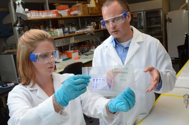 Two scientists in lab coats in a lab comparing samples