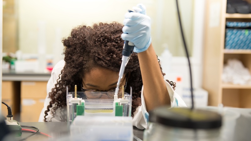 FRI Biobricks and Microbe Hackers stream students work in the lab.