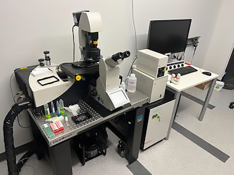 Leica SP8 Confocal Microscopy equipment