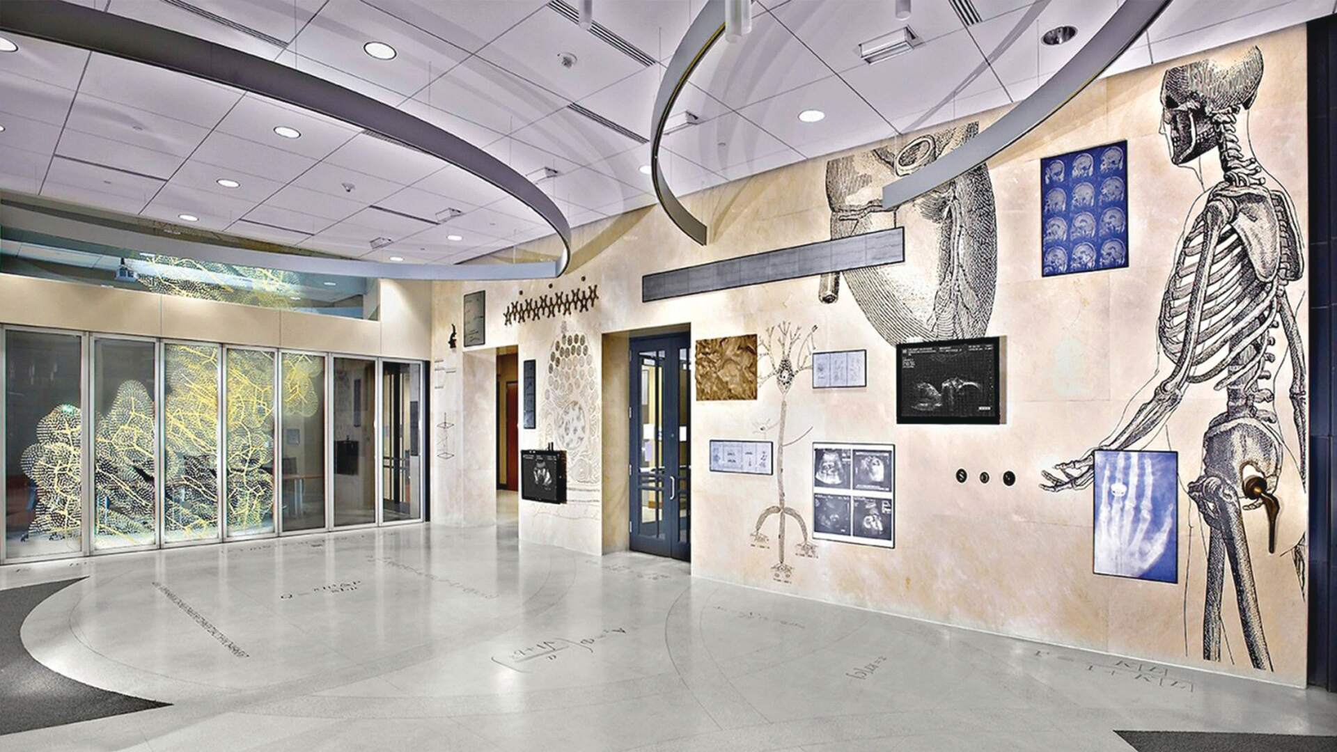 Interior of the BME building, showcasing anatomy and medical paintings on wall