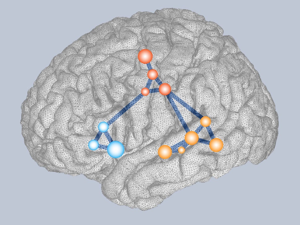 Illustration of the brain and a lit up neural network