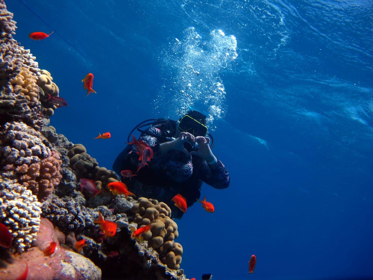 Texas BME student Alaa Melek scuba diving underwater