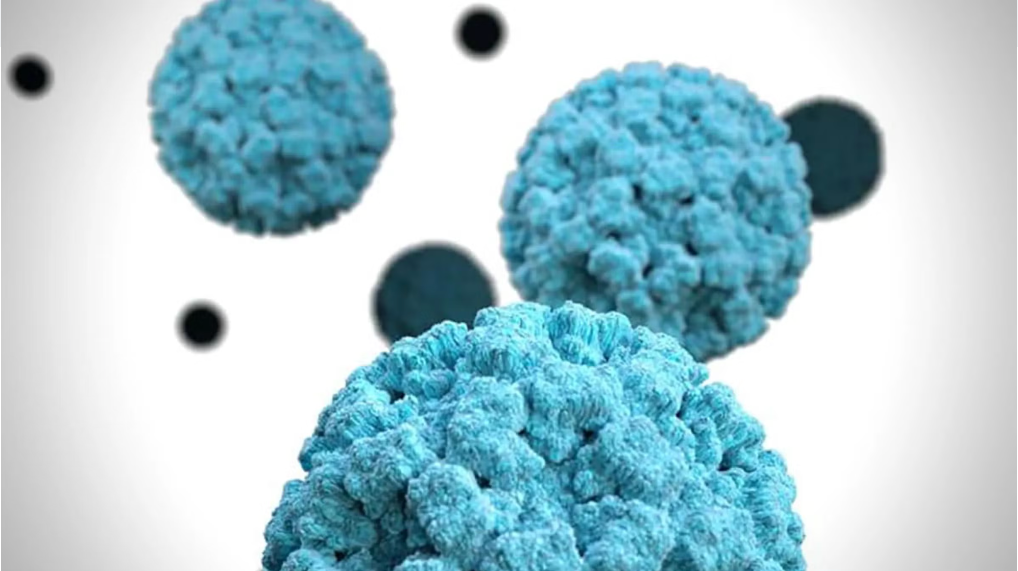 Microscopic view of norovirus