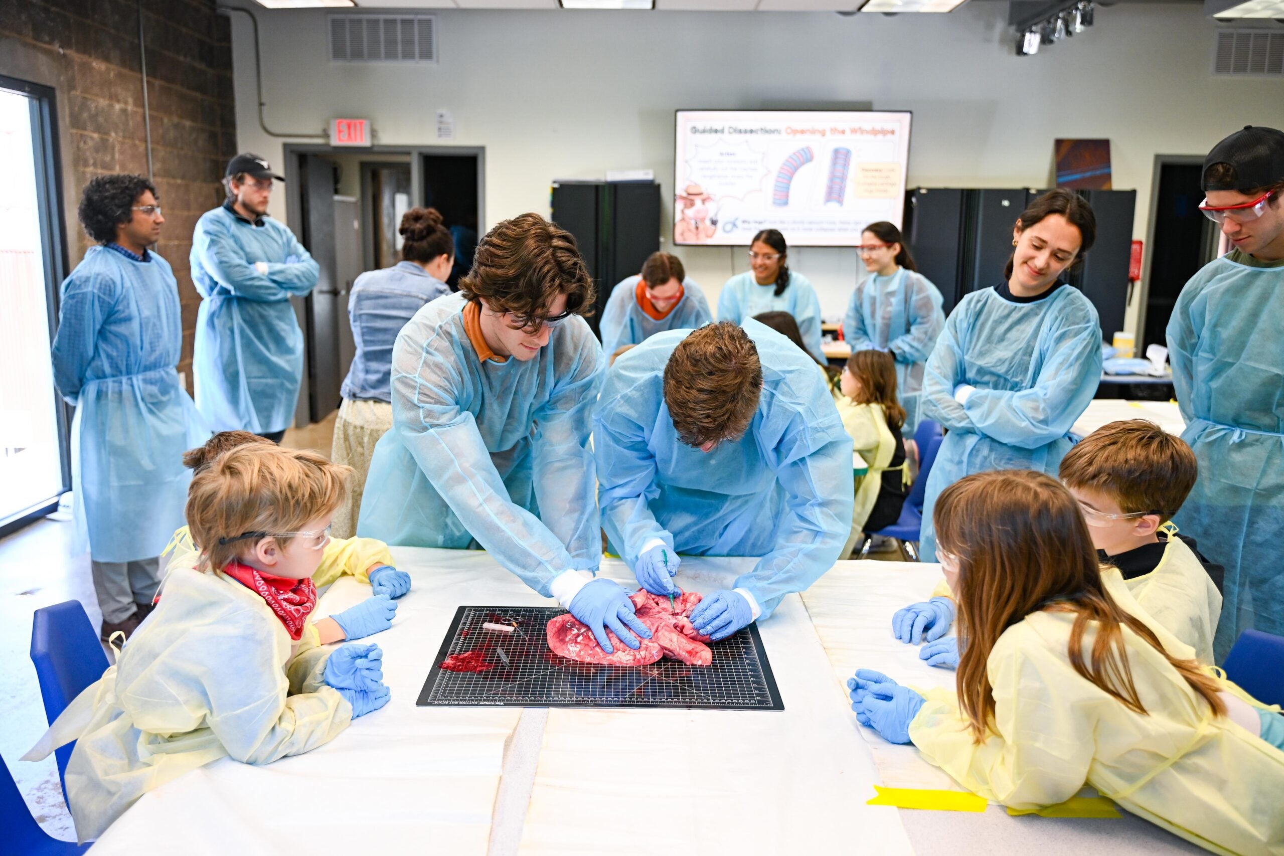 Two BME students cut into a set of raw pig heart and lungs to demonstrate a scientific concept to four children at a table while at the Learning Lab demonstration at the Science Mill. 