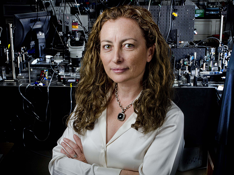 Texas Engineer Adela Ben-Yakar