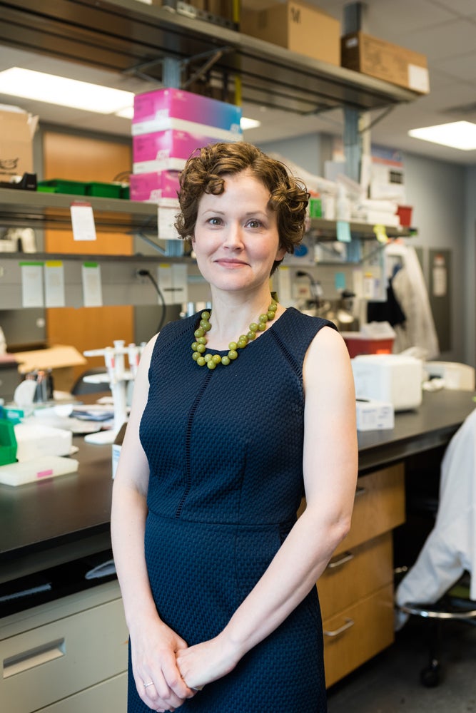 UT Austin Biomedical Engineering Professor Jeanne Stachowiak sits in her lab